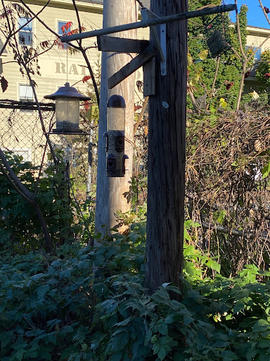 Natural Foods Store «Upper Valley Food Co-Op», reviews and photos, 193 N Main St, White River Junction, VT 05001, USA