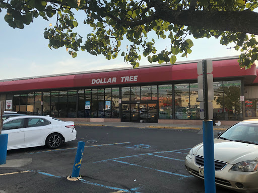 Dollar Store «Dollar Tree», reviews and photos, 24 Portland Ave, Bergenfield, NJ 07621, USA