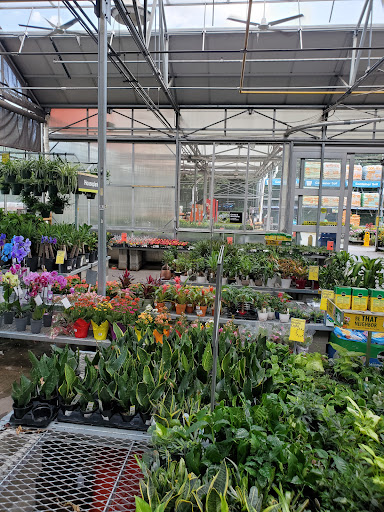 Home Improvement Store «The Home Depot», reviews and photos, 4901 Capital Blvd, Raleigh, NC 27616, USA