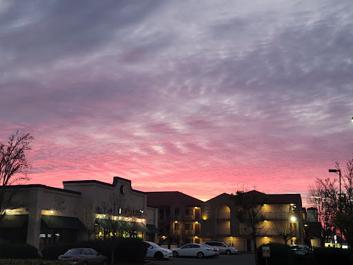 Pet Supply Store «PetSmart», reviews and photos, 10830 Olson Dr, Rancho Cordova, CA 95670, USA