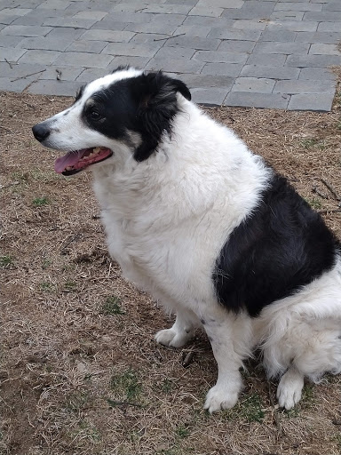 Pet Supply Store «Petco Animal Supplies», reviews and photos, 190 Quality Dr, Hooksett, NH 03106, USA