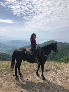 ASD HorseLand Ranch Via Aniello Vitale, 49 D, 84013 Cava de' Tirreni SA, Italia