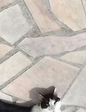 Photo n° 4 de l'avis de Jasmine. fait le 06/12/2023 à 08:32