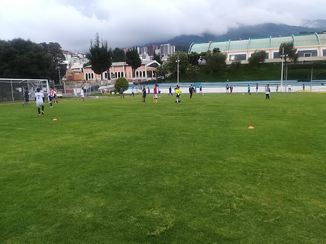 Opiniones de PRO FÚTBOL TALENTO ESCUELA FORMATIVA en Quito - Campo de fútbol