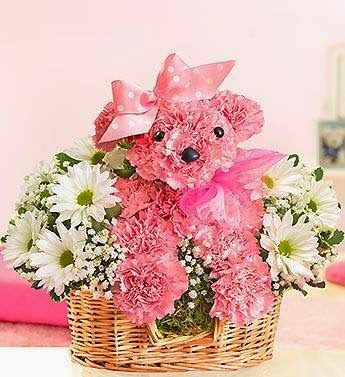 1-800-Flowers Houston, 5403 Cypress Creek Pkwy, Houston, TX 77069, USA, 