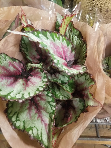 Florist «Sieck-Wright Floral Products», reviews and photos, 231 Monmouth St, Hightstown, NJ 08520, USA