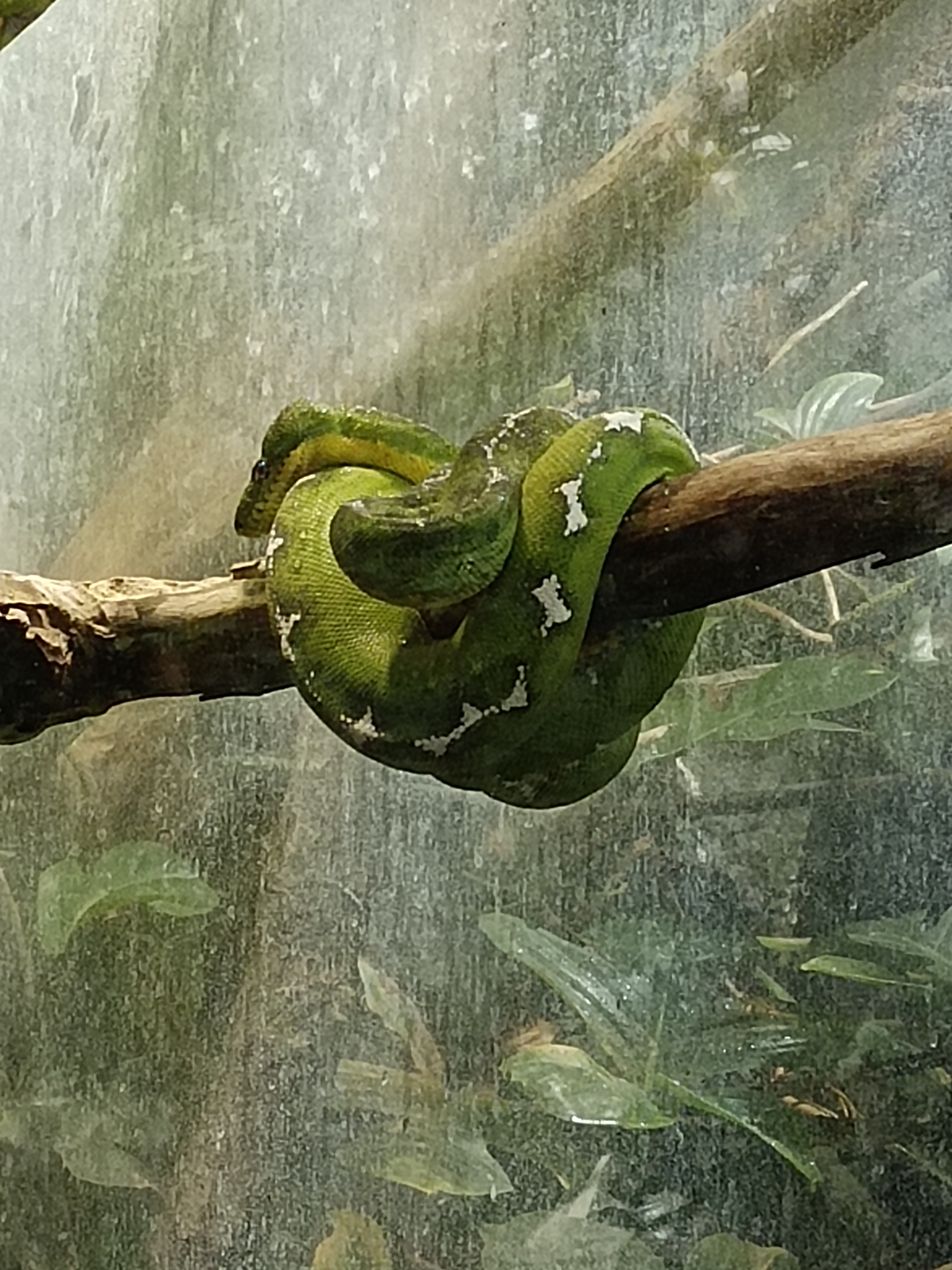 Photo n° 6 de l'avis de Suzy.a fait le 28/08/2023 à 21:34