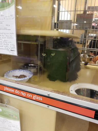 Pet Supply Store «PetSmart», reviews and photos, 300 Water Loop Ln, Collegeville, PA 19426, USA