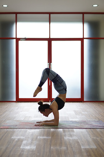 Bee Yoga Studio, photo 3