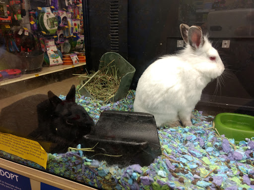 Pet Supply Store «PetSmart», reviews and photos, 1801 Howell Mill Rd NW, Atlanta, GA 30318, USA