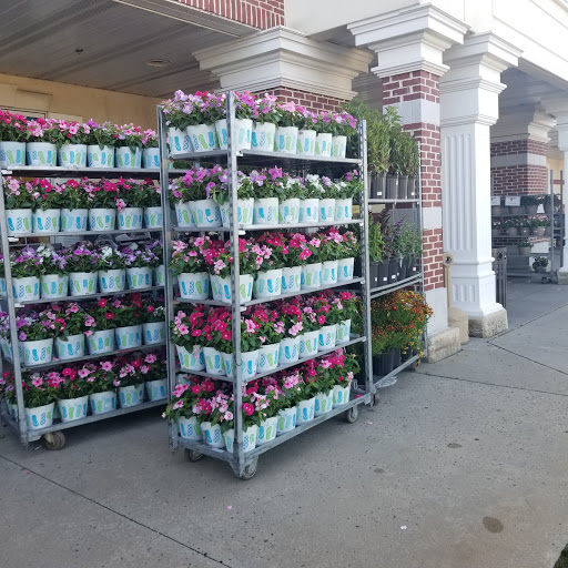 Home Goods Store «Christmas Tree Shops», reviews and photos, 100 Trotters Way, Freehold, NJ 07728, USA