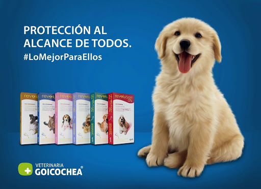 Lugares de adopción de perros en Trujillo