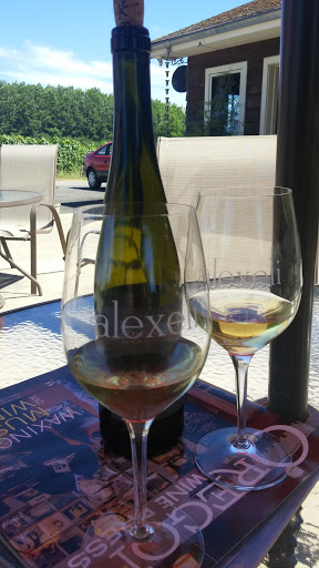 Vineyard «AlexEli Vineyard & Winery», reviews and photos, 35803 OR-213, Molalla, OR 97038, USA