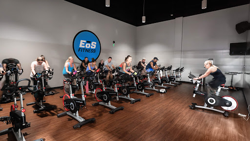 Gym «EOS Fitness Gilbert-Higley Gym», reviews and photos, 3300 S Higley Rd, Gilbert, AZ 85295, USA