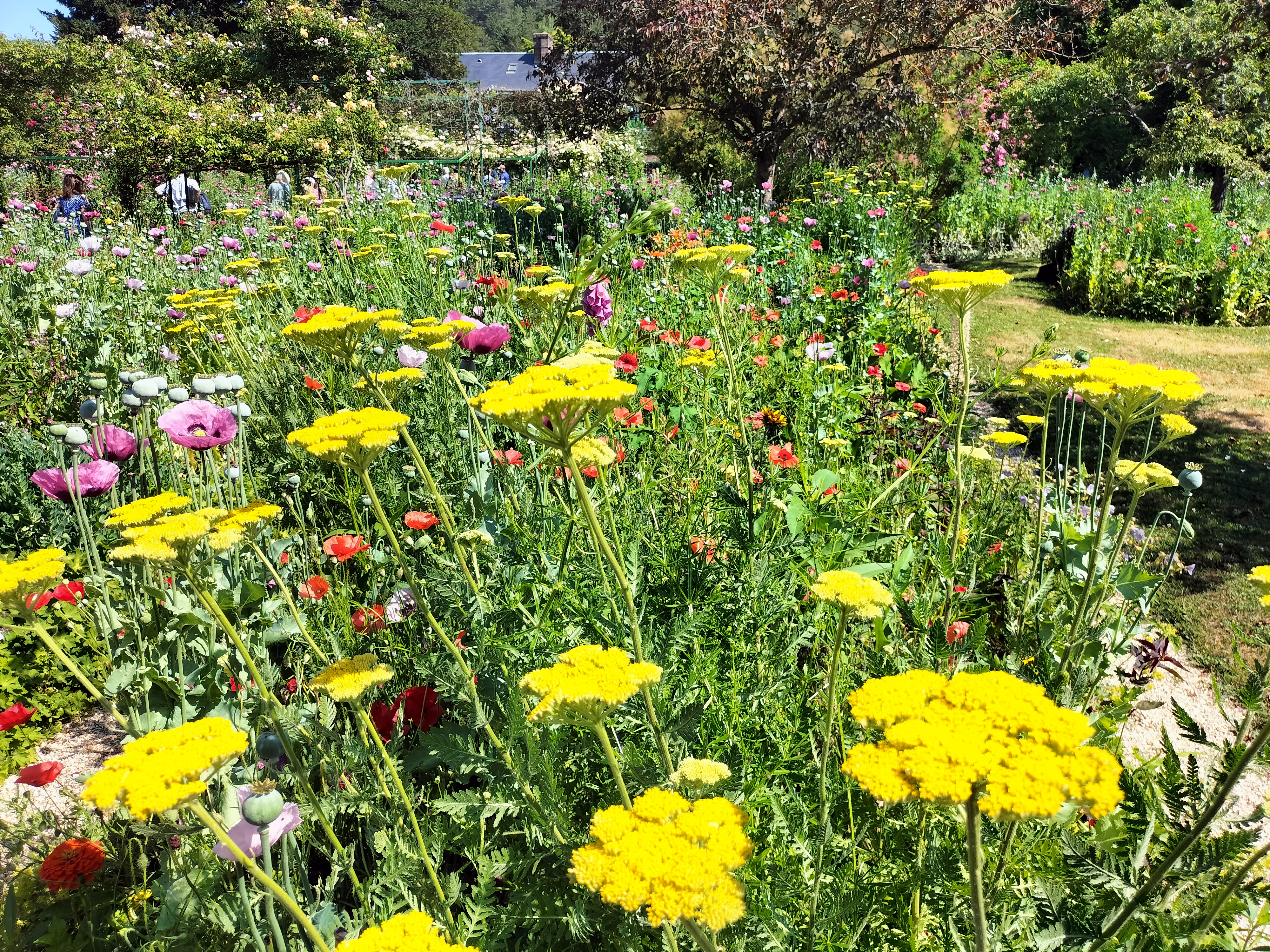 Photo n° 9 de l'avis de didier.e fait le 15/06/2023 à 13:38