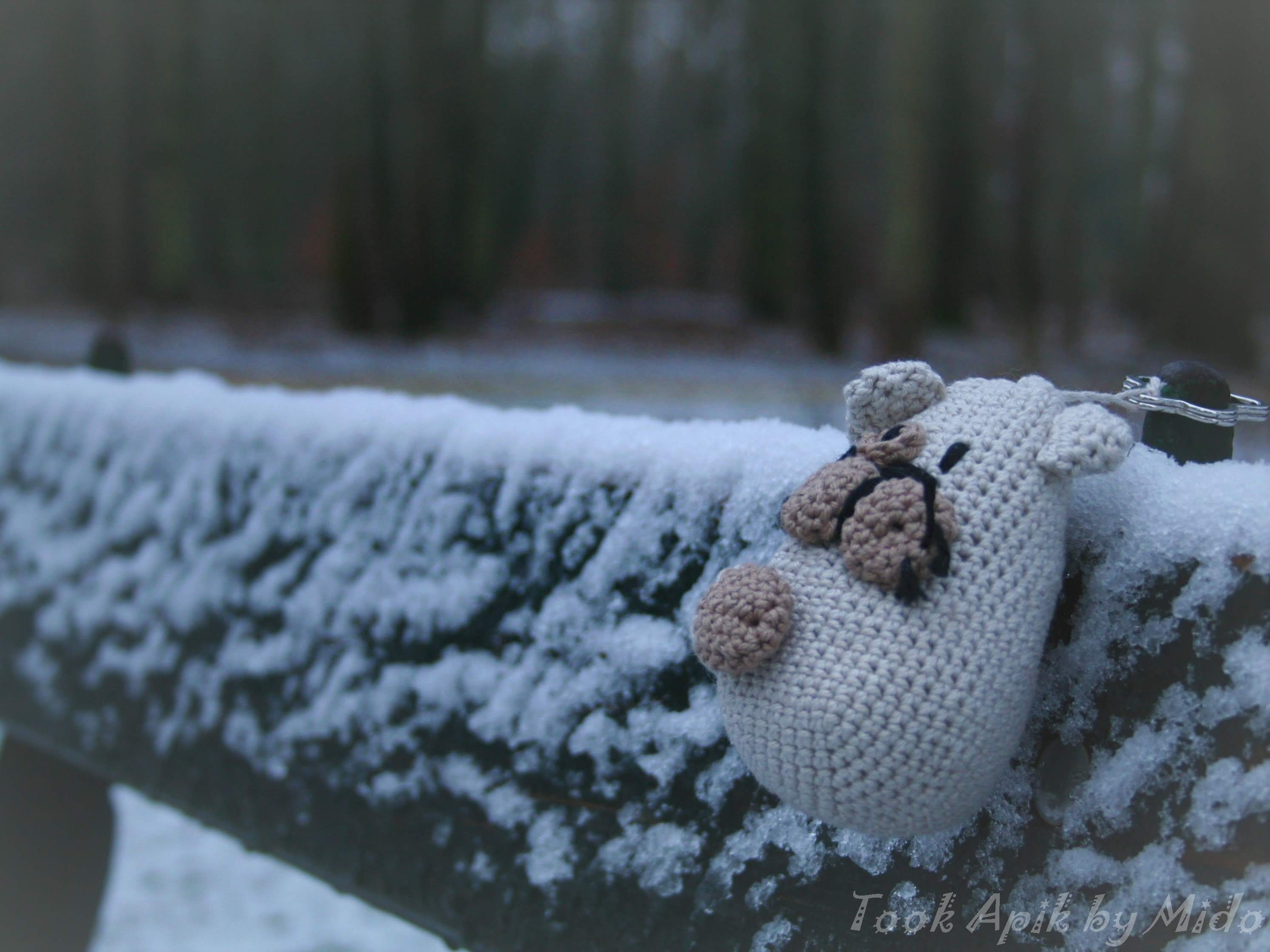 Photo n° 14 de l'avis de Mi.o fait le 26/06/2019 à 06:26