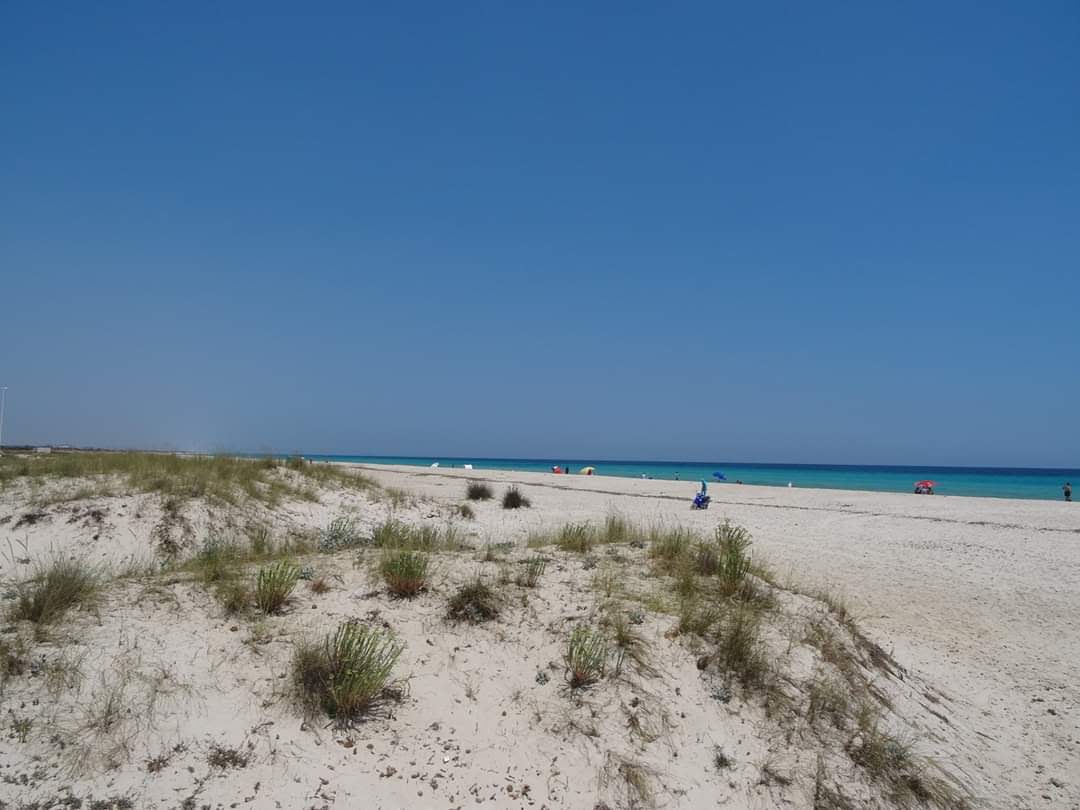 Foto de Menzel Or beach - lugar popular entre os apreciadores de relaxamento
