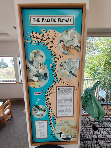 Bird Watching Area «Arcata Marsh Interpretive Center», reviews and photos, 569 S G St, Arcata, CA 95521, USA