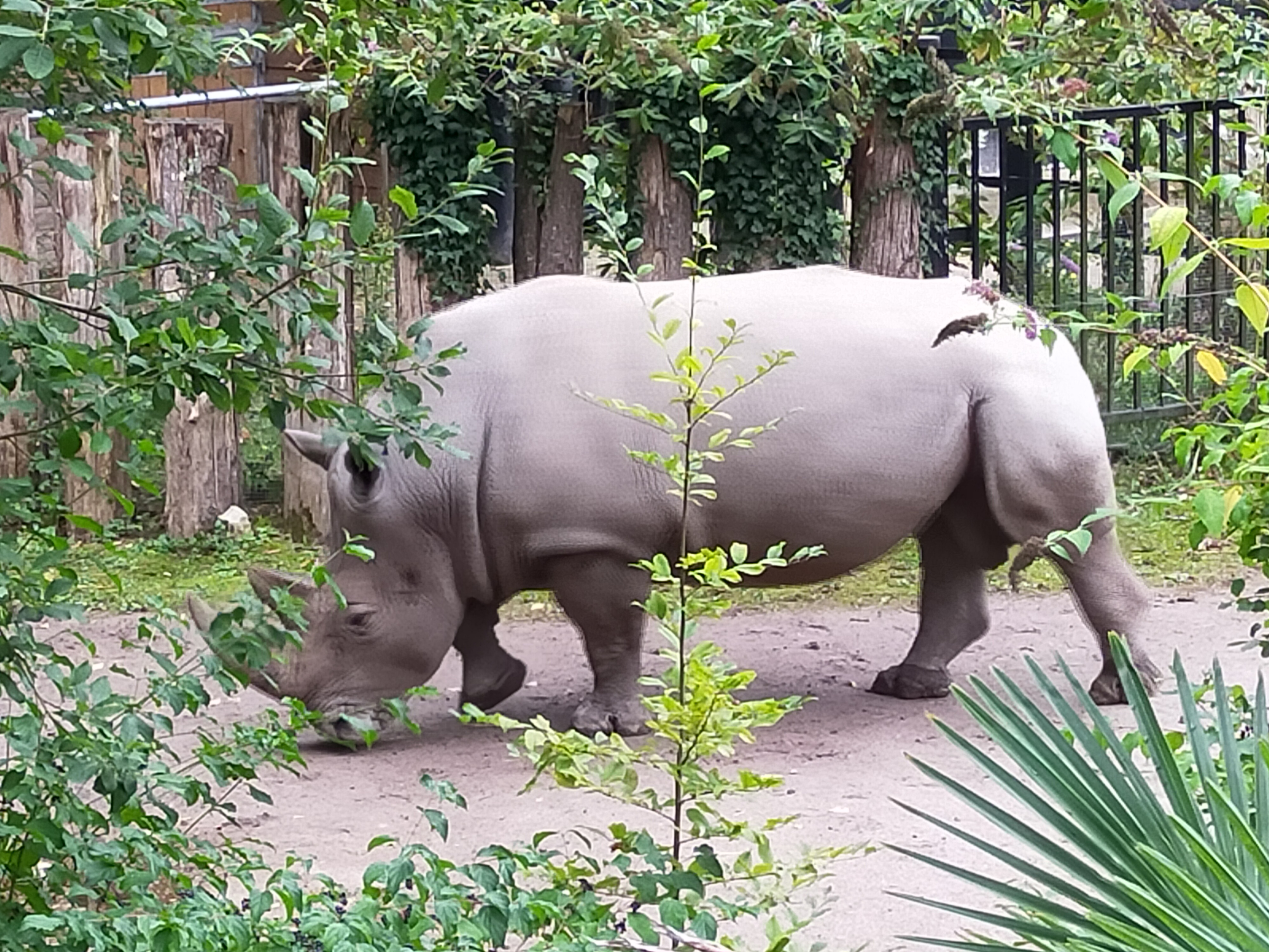 Photo n° 7 de l'avis de fab&sar. fait le 25/08/2023 à 20:09