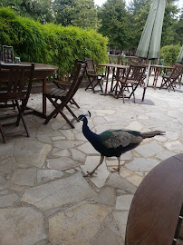 Atmosphère du Restaurant italien Da Antonino Restaurant au Jardin d'Acclimatation à Paris - n°12