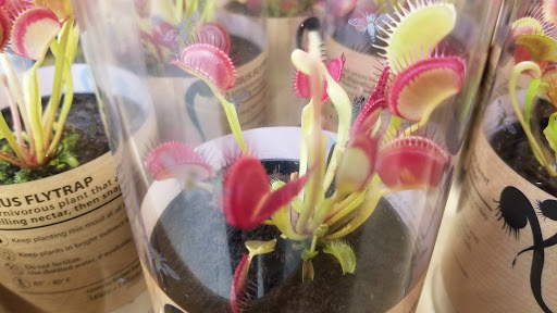 Supermarket «ALDI», reviews and photos, 872 W Main Rd, Middletown, RI 02842, USA