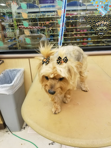 Pet Supply Store «PetSmart», reviews and photos, 1300 John F Kennedy Rd, Dubuque, IA 52002, USA