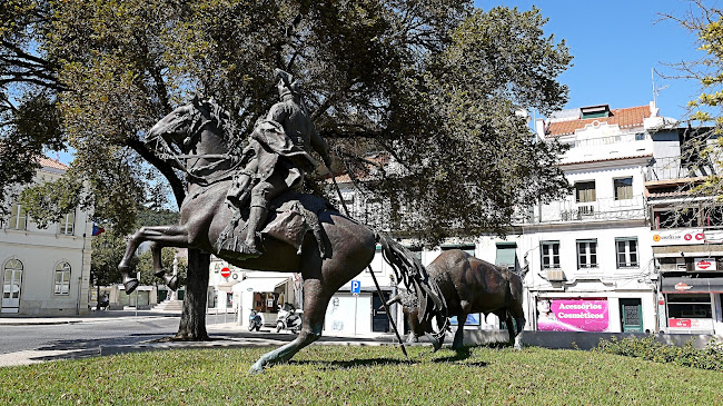 Monumento ao Campino - Fotógrafo