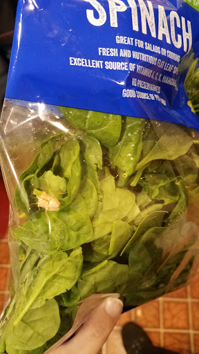 Supermarket «ALDI», reviews and photos, 1025 Wylie Dr, Bloomington, IL 61705, USA