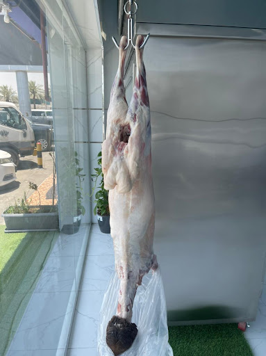 ملحمة بانوراما الشام 