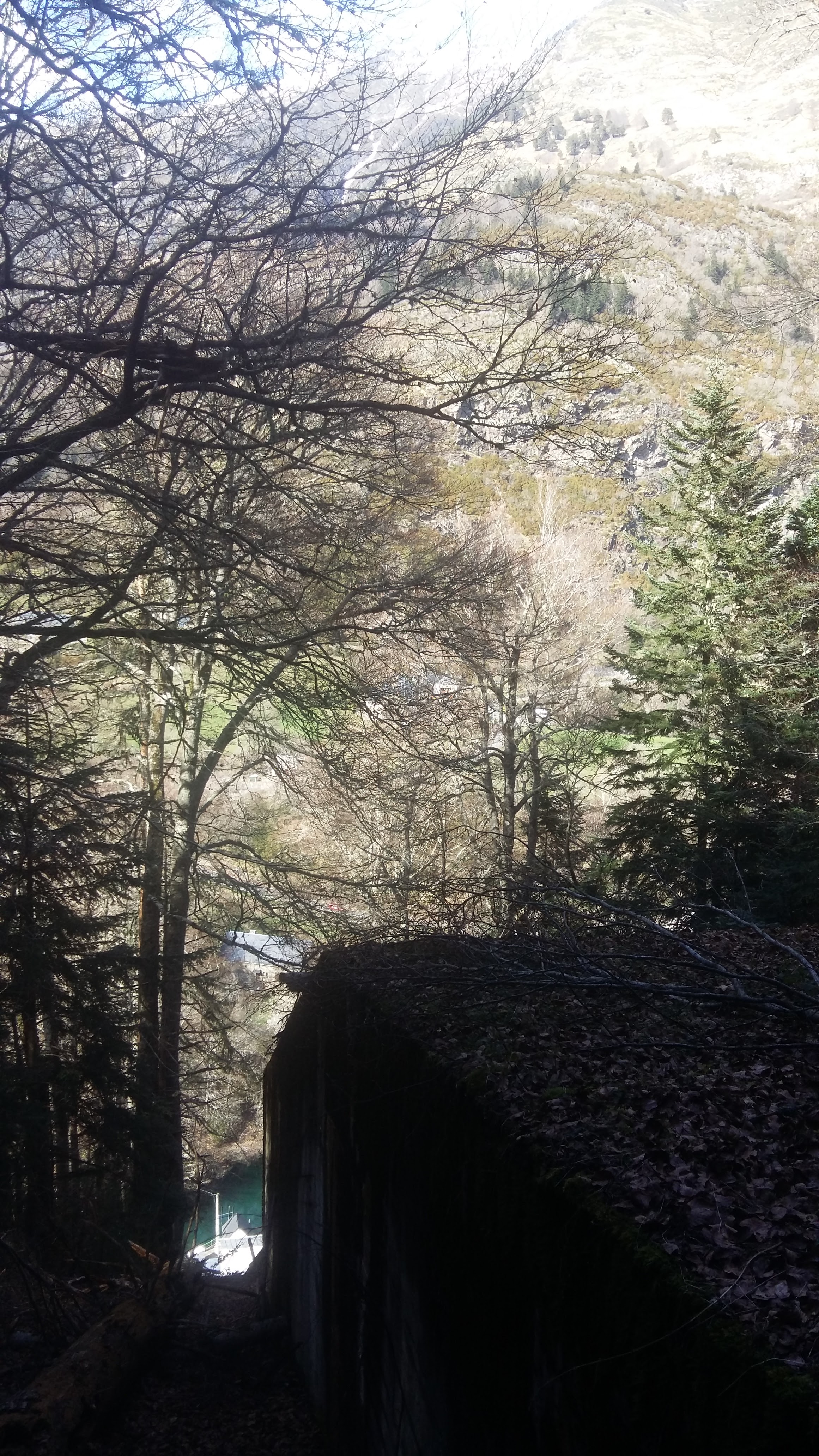 Photo n° 1 de l'avis de Zolade.o fait le 17/04/2019 à 19:39