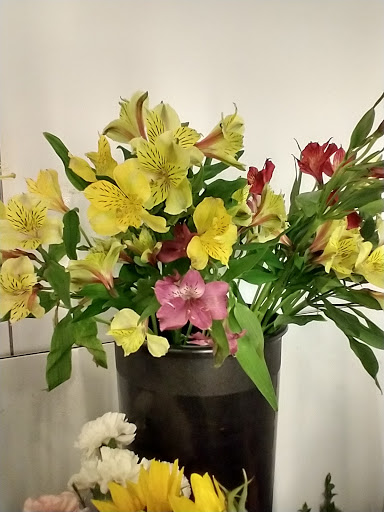 Florist «Grace Harper Florist, Inc.», reviews and photos, 4135 Woodward Ave, Detroit, MI 48201, USA