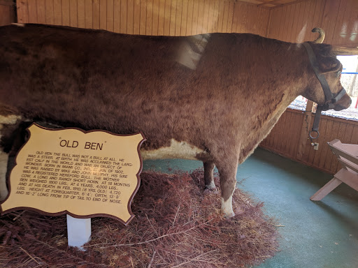 Tourist Attraction «Sycamore Stump», reviews and photos, 1402 Defenbaugh St, Kokomo, IN 46902, USA