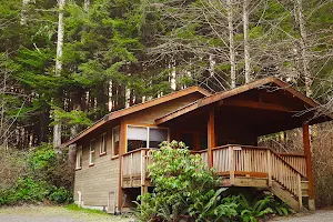 Evergreen Forest Cabins image