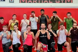 Martial Gym club de boxe thai et jiu jitsu brésilien Grenoble image
