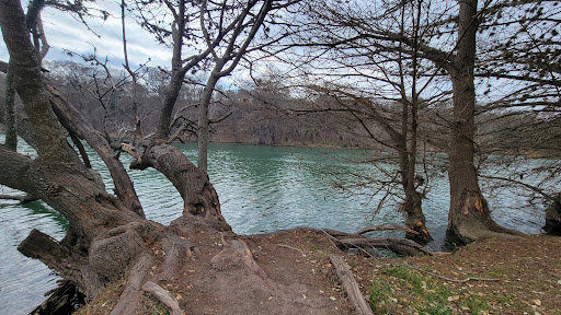 Corporate Office «Hill Country Arts Foundation», reviews and photos, 120 Point Theatre Rd S, Ingram, TX 78025, USA