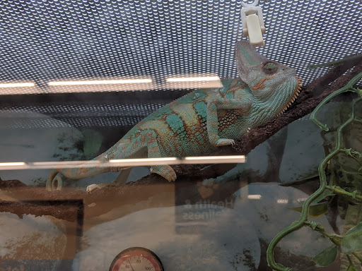 Pet Supply Store «Petco Animal Supplies», reviews and photos, 225 Maple Ave E, Vienna, VA 22180, USA