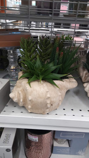 Clothing Store «Ross Dress for Less», reviews and photos, 2015 Sebastopol Rd, Santa Rosa, CA 95407, USA