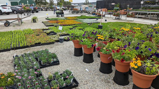 Wholesale plant nursery Pomona