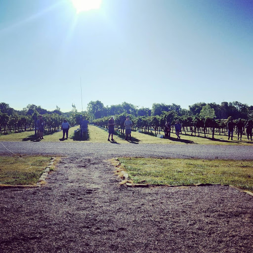 Winery «Eden Hill Winery and Vineyard», reviews and photos, 4910 Eden Hill Ln, Celina, TX 75009, USA