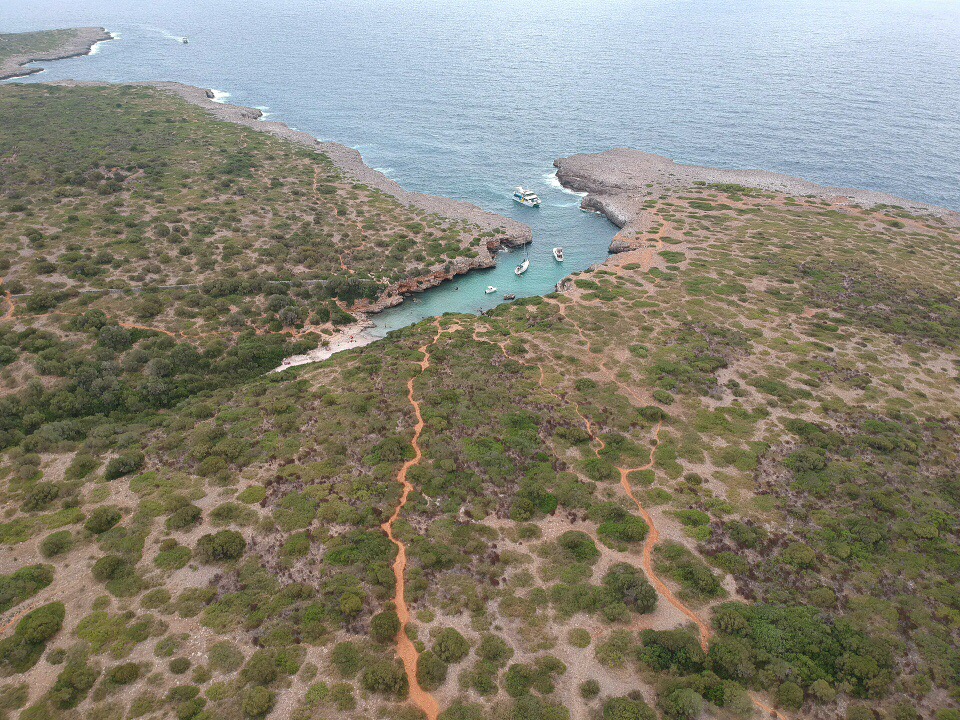 Cala Petita'in fotoğrafı küçük koy ile birlikte