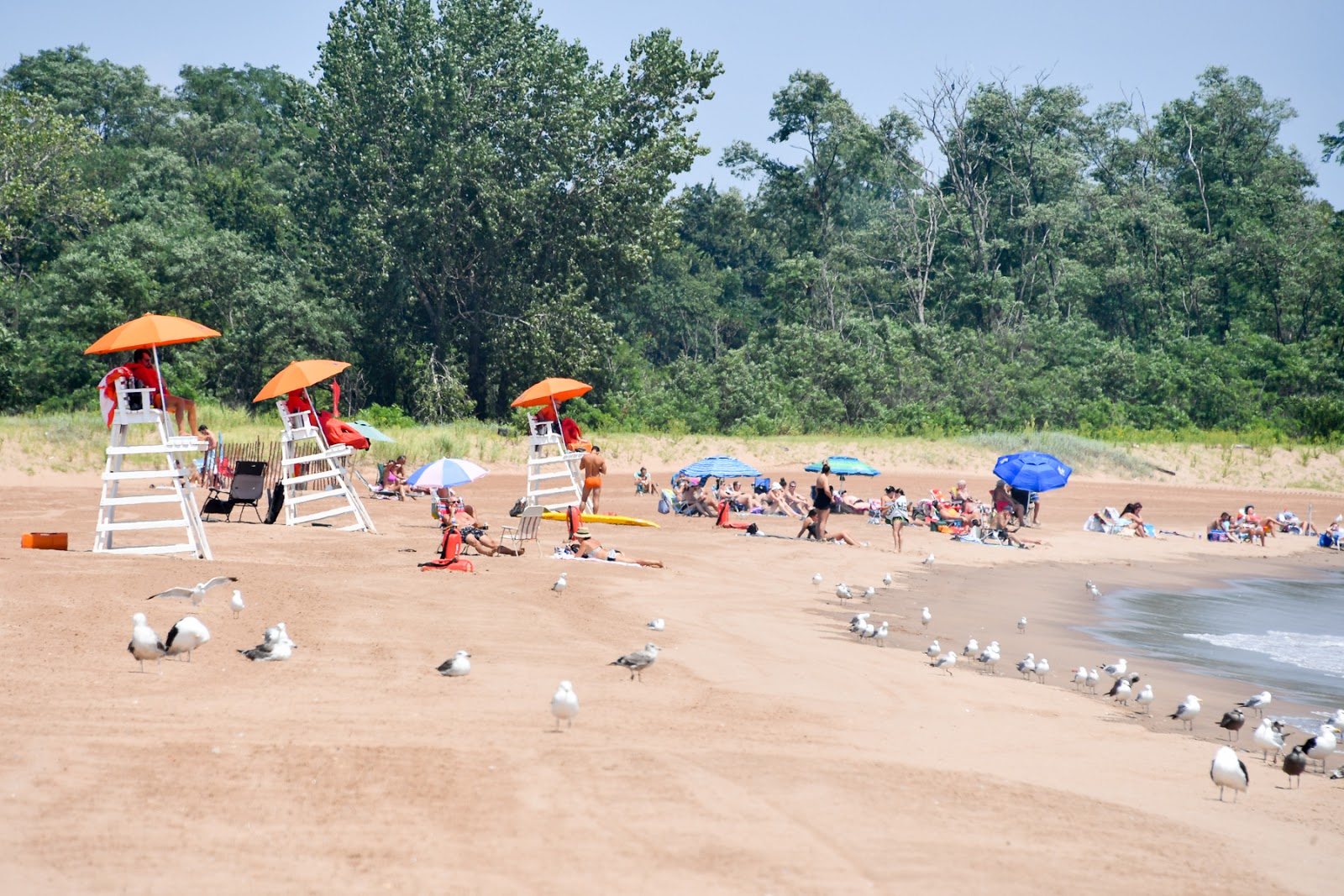 Fotografija New Dorp Beach z visok stopnjo čistoče