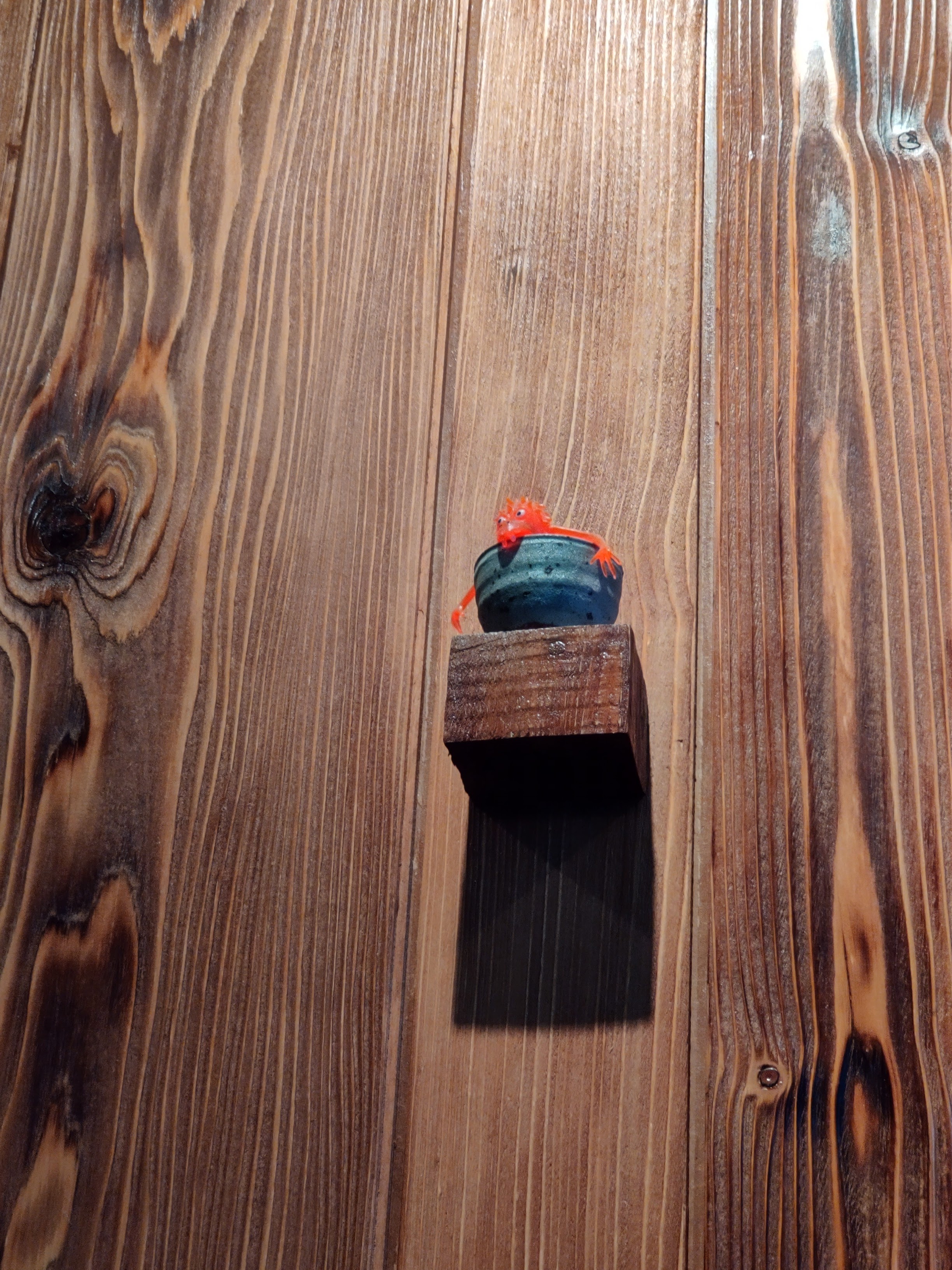 Photo n° 1 de l'avis de Florent. fait le 31/07/2019 à 12:52