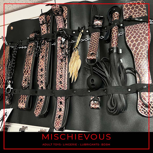 Adult Entertainment Store «Mischievous», reviews and photos, 559 300 W, Salt Lake City, UT 84101, USA