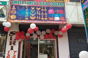 Ameer fancy &gold covering image
