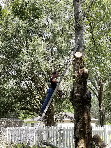 Public Golf Course «Quail Hollow Golf Course», reviews and photos, 6225 Old Pasco Rd, Wesley Chapel, FL 33544, USA