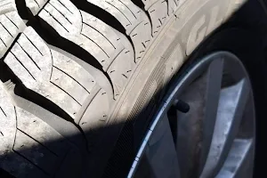 Grizzly Tire and Automotive image