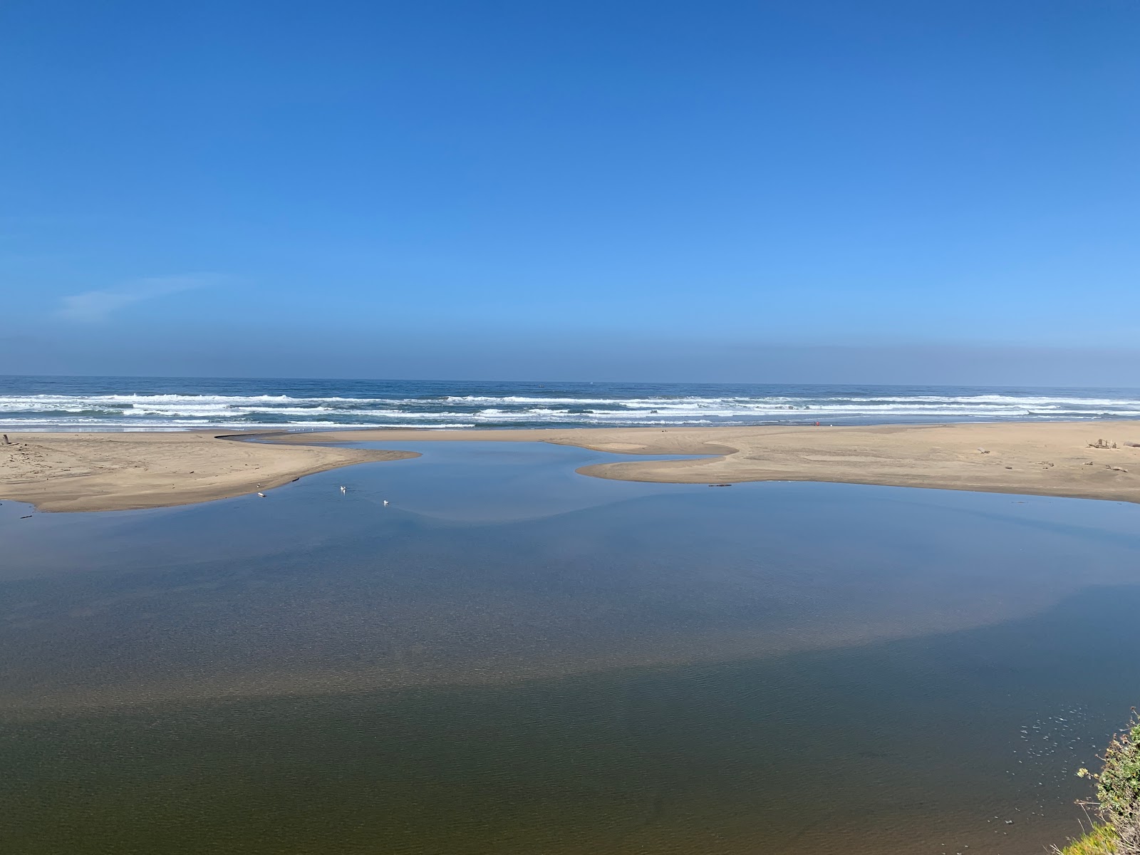 Photo of San Gregorio Beach located in natural area