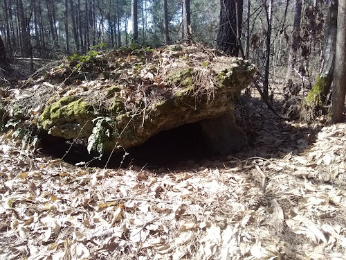 Dolmen La Pierre Couverte de Tresson à Tresson