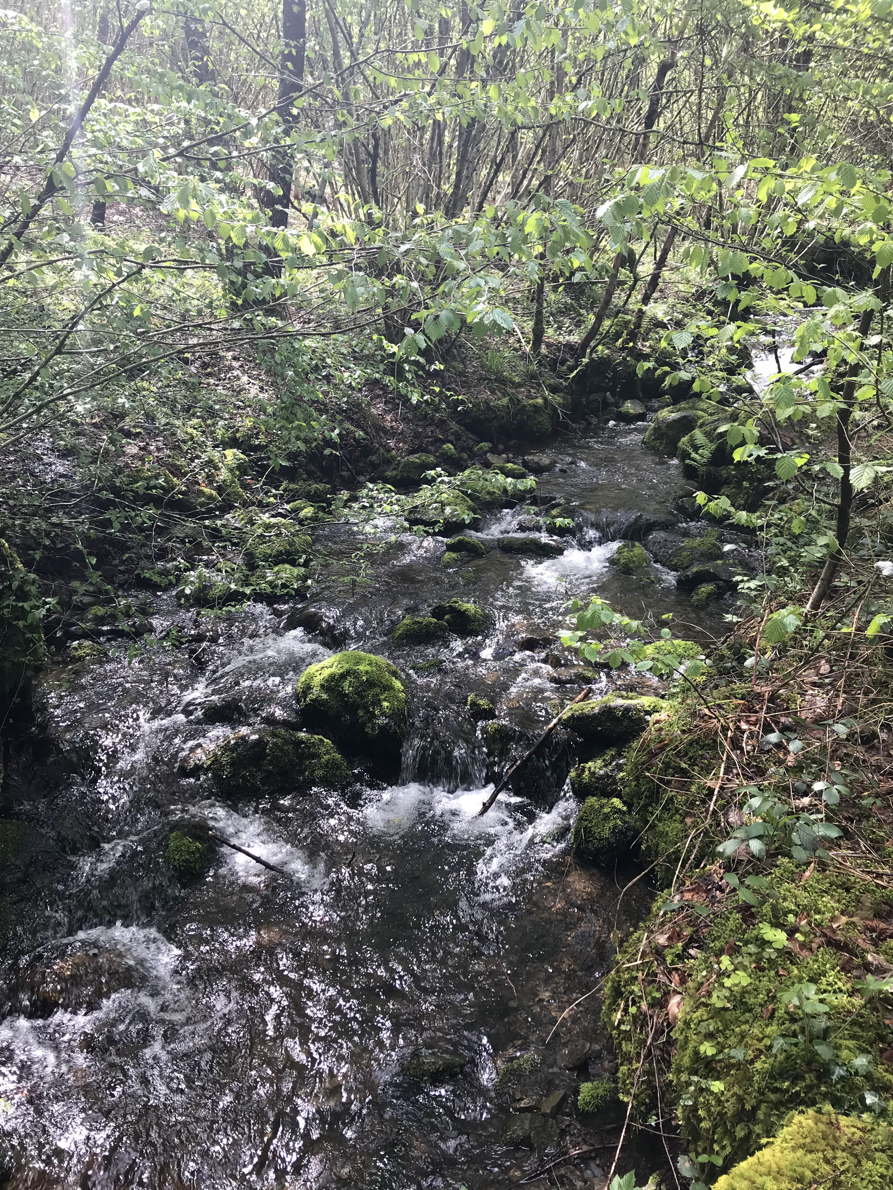 Photo n° 4 de l'avis de Ulf.. fait le 17/05/2019 à 20:57