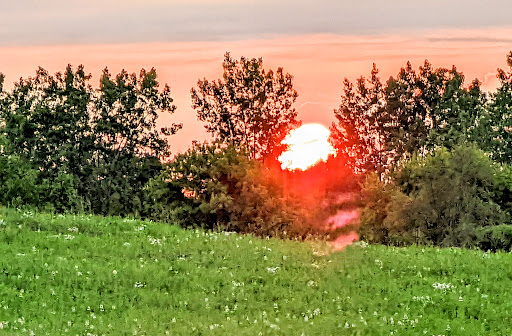 Nature Preserve «Buffalo Creek Forest Preserve», reviews and photos, 18163 W Checker Rd, Long Grove, IL 60047, USA